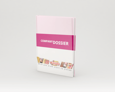 mock up dossier el pozo 2