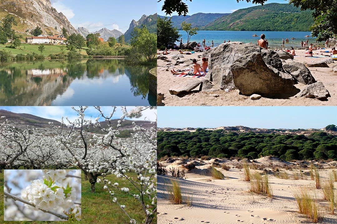 spring-places-in-spain-elpozo